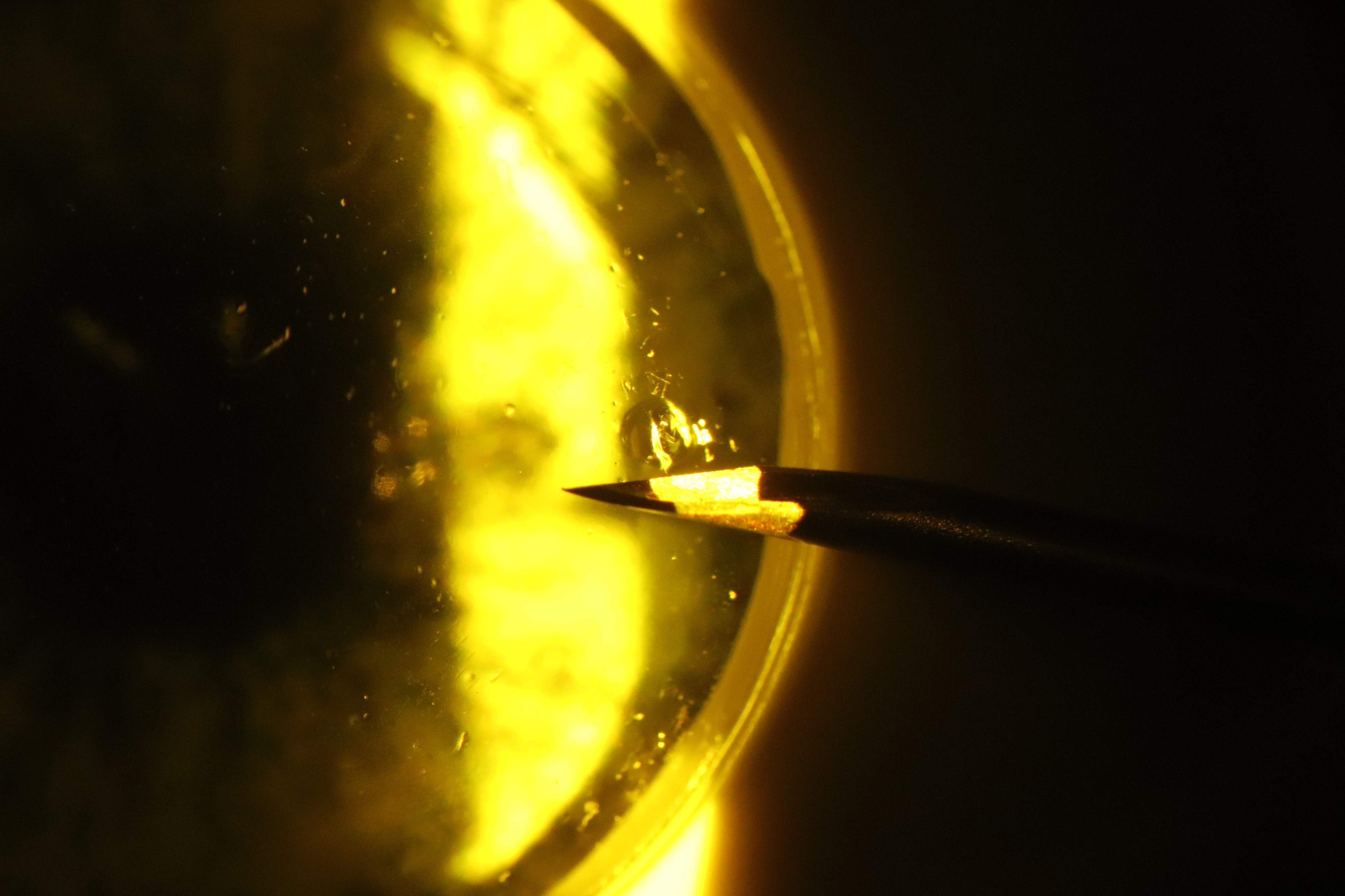 Needle piercing SimulEYE® model eye, viewed through slit lamp